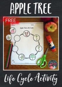 Download this free cut and paste apple tree life cycle activity, a perfect supplement for a first or second grade science unit.